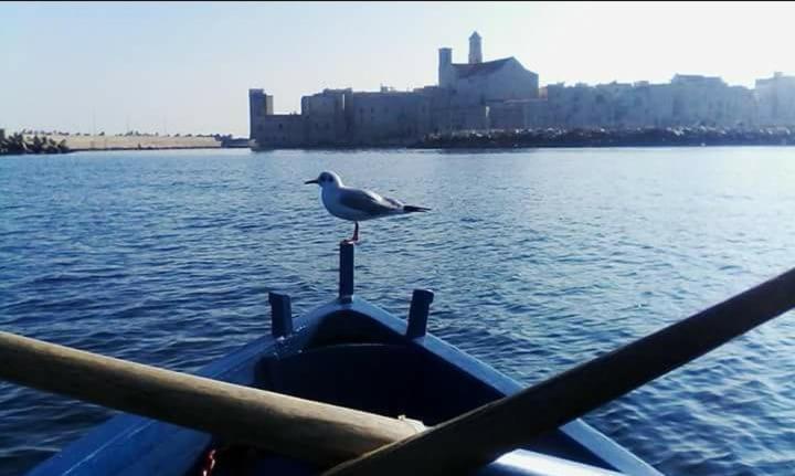 Il Da Vinci Casa Vacanze Giovinazzo Exteriér fotografie